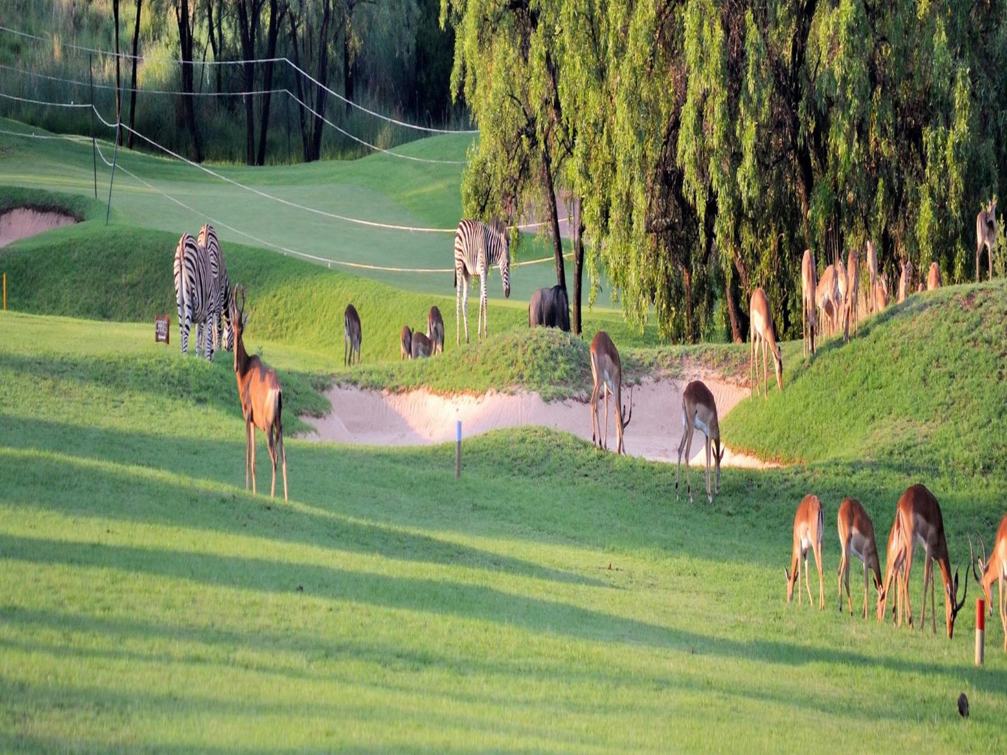 Elements Private Golf Reserve Villa Bela-Bela Ngoại thất bức ảnh